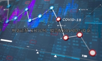 杠杆比例：股票配资的风险与收益