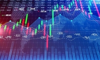 振德医疗：2024年前三季度净利润3